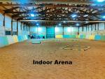 239-IndoorArenaresized.jpg