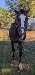 1180-George4.jpg