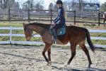 1353-IMG_5230.jpeg