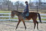 1353-IMG_5231.jpeg