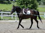 1353-IMG_2610.jpeg