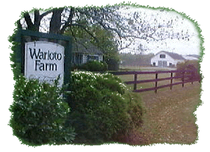 Warioto Farm