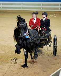 Dash Rip Rock - Horse Stars Hall of Fame