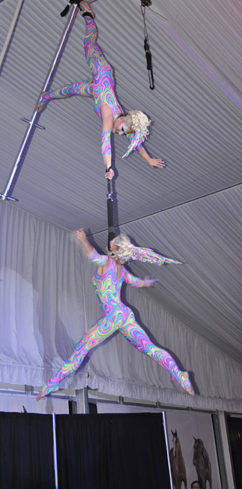 Cirque Vertigo