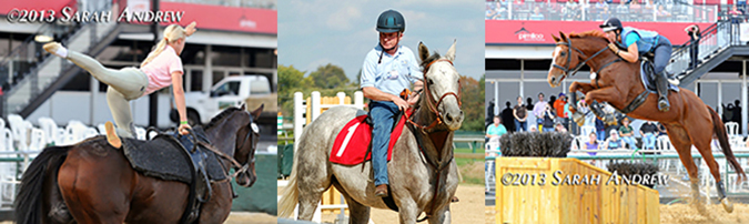 America's Most Wanted Thoroughbred Contest
