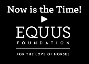 EQUUS Foundation Now Is The Time Video