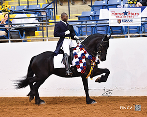 2015 Horse Stars Hall of Fame Inductee Elis GV
