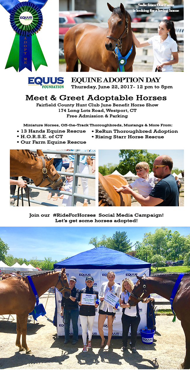 Equine Adoption Day at Fairfield