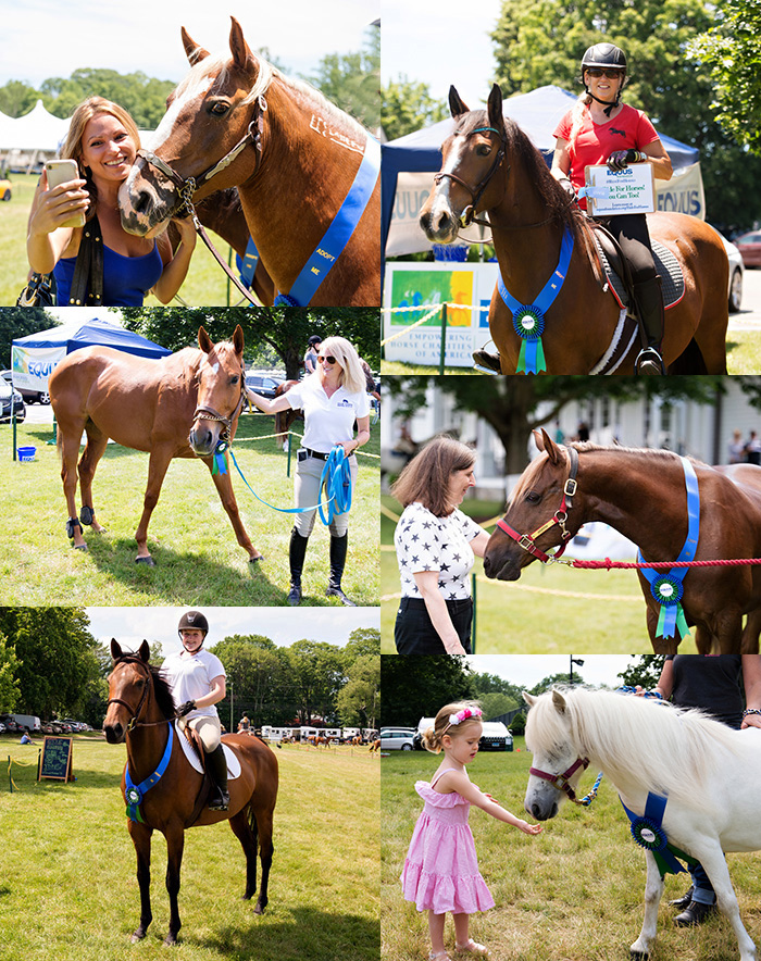 Equine Adoptions at Fairfield Horse Show