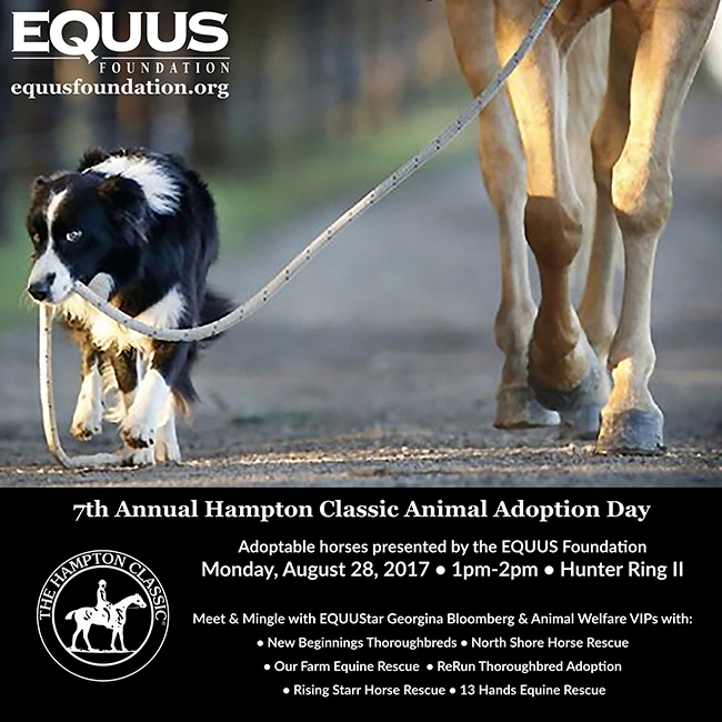 Hampton Classic Equine Adoption