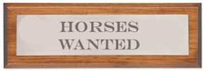 Next Chapters Horses Wanted