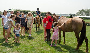 Equine Adoption Event