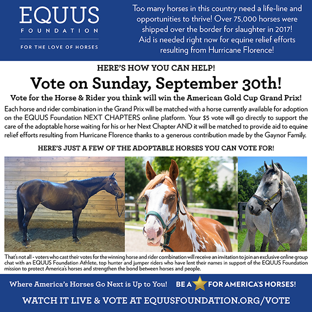 Vote at the American Gold Cup
