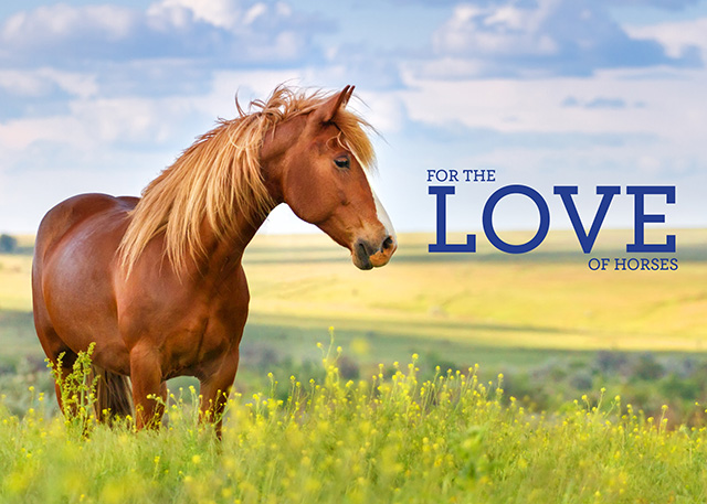 For the Love of Horses