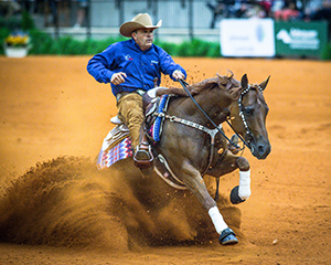 2019 Horse Stars Hall of Fame Inductee