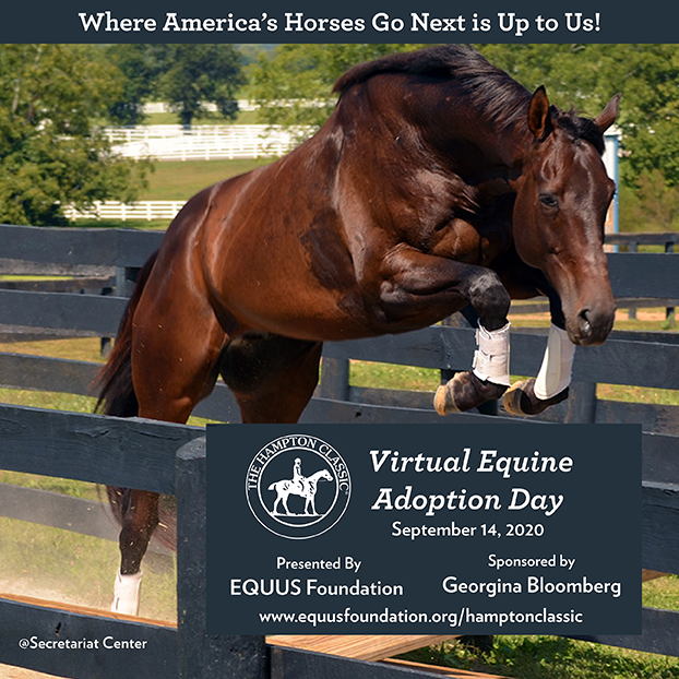 2020 Hampton Classic Virtual Equine Adoption Event presented by the EQUUS Foundation