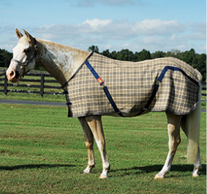 Free Horse Apparel for EQUUS Foundation Guardian Charities 