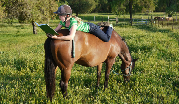 The Gift That Gives Back! Books by Horse People, for Horse People — with the Good of the Horse in Mind!