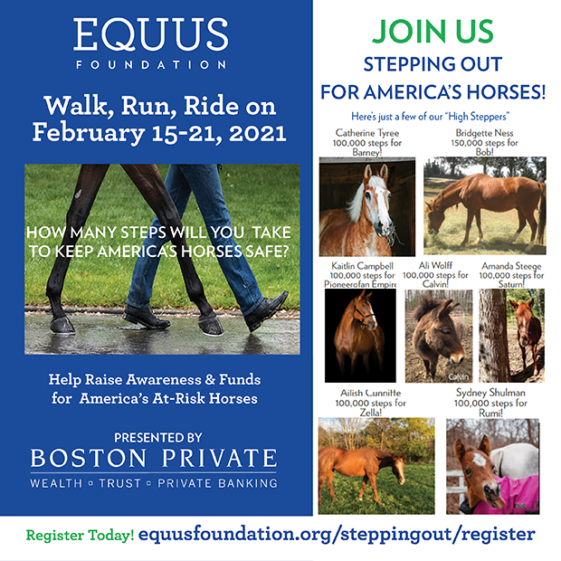 Stepping Out for America's Horses Begins Today with Over 3 Million Steps Pledged!  