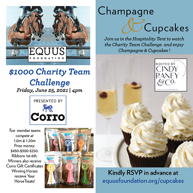Champagne & Cupcakes and Charity Team Challenge