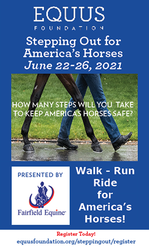 Stepping Out for America's Horses