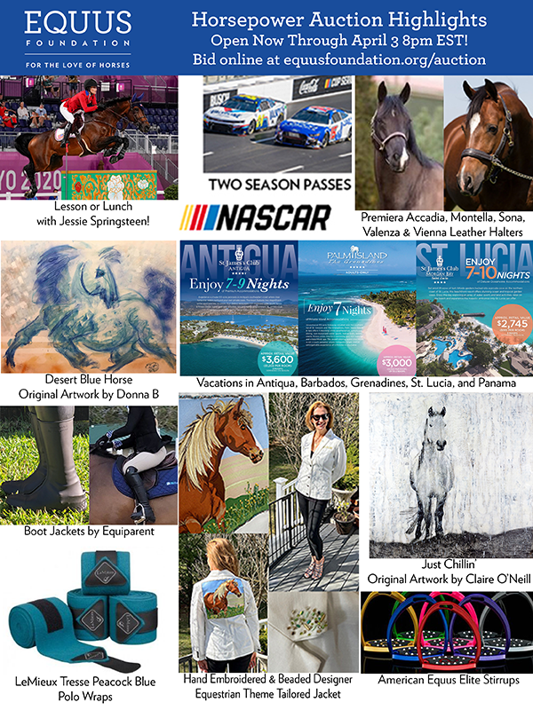 It's Horsepower Week - EQUUS Foundation Online Auction Begins Today!   