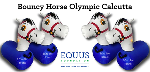 Bouncy Horse Olympic Calcutta