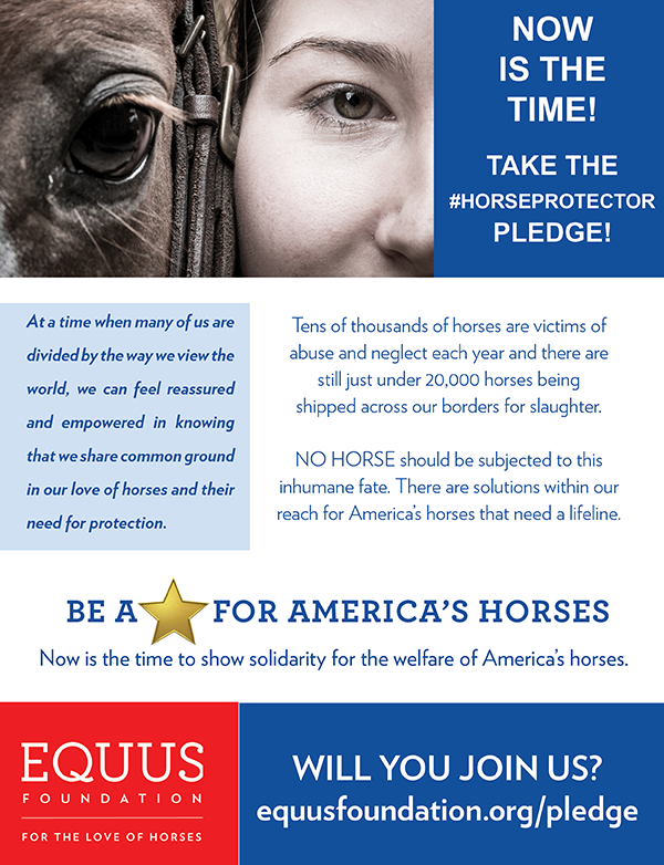 Horse Protector Pledge