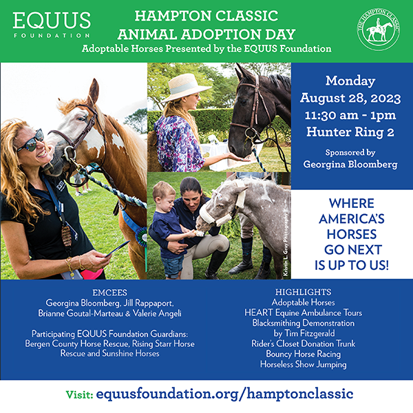Hampton Classic's Adoption Day on Monday, August 28th, Features Adoptable Horses!