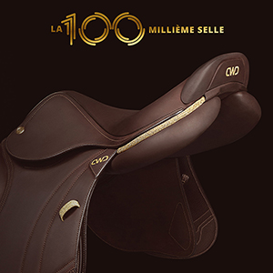 CWD's 100,000th Commemorative Saddle
