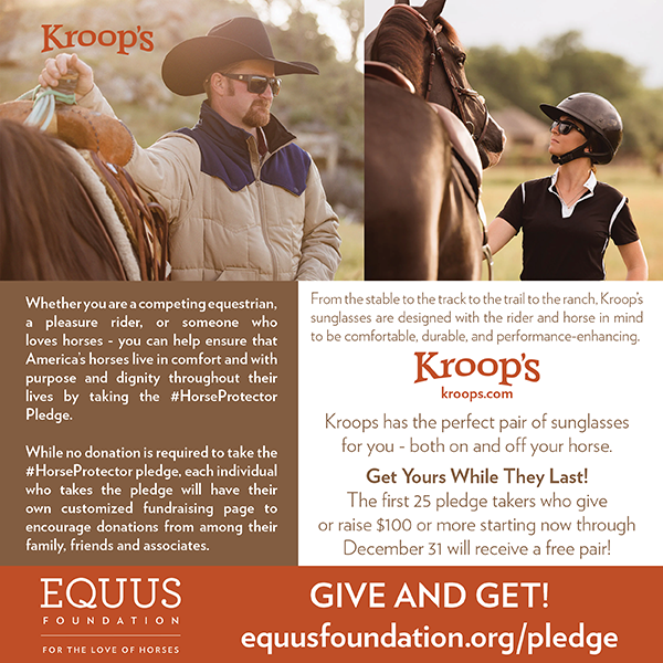 Kroops - Keeping America's Horses Safe