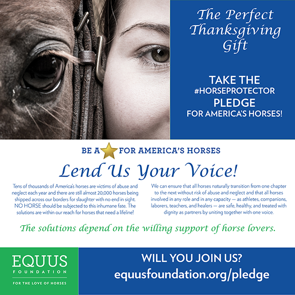 The Perfect Thanksgiving Gift - Lend Us Your Voice!