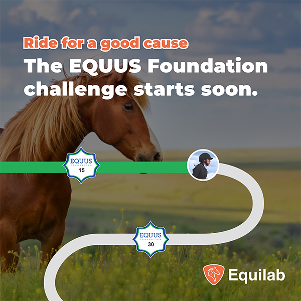 EQUUS Foundation Challenge