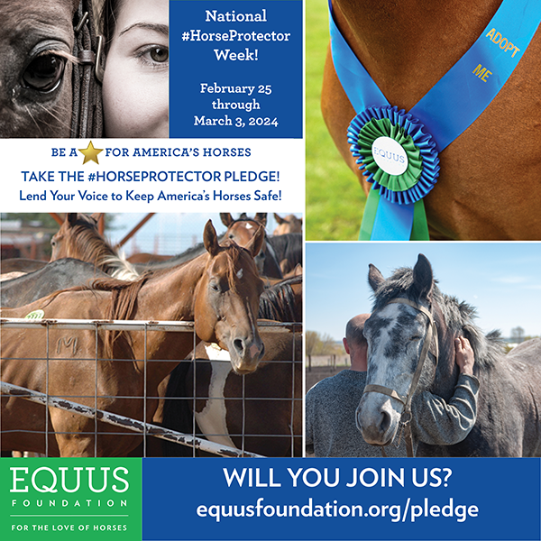 National #HorseProtector Week