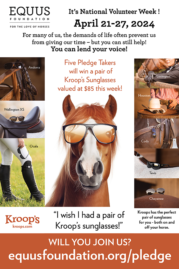 Win A Pair of Kroop's Sunglasses