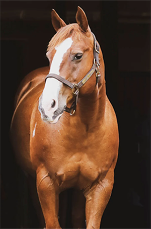 Duke of Oil