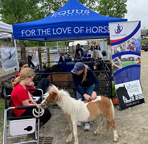 Old Salem Farm Spring Horse Shows Activity Center Hosted by Fairfield Equine Associates