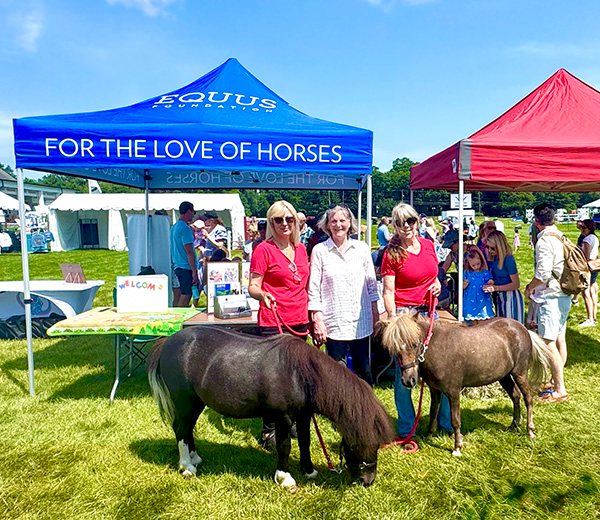 Fairfield Family Fun Day
