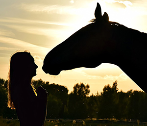 EQUUS Foundation Horse Whisperers