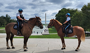United States Park Police Horse Mounted Unit Receives the 2025 WIHS Honor and Service Award