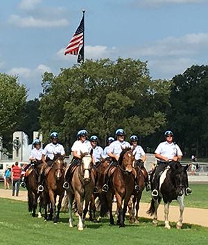 United States Park Police Horse Mounted Unit Receives the 2025 WIHS Honor and Service Award