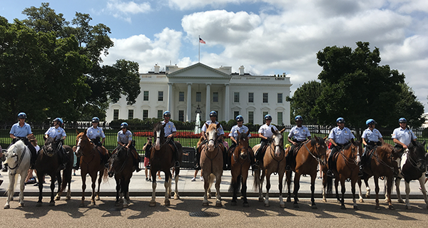 United States Park Police Horse Mounted Unit Receives the 2025 WIHS Honor and Service Award
