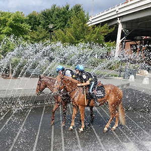 United States Park Police Horse Mounted Unit Receives the 2025 WIHS Honor and Service Award