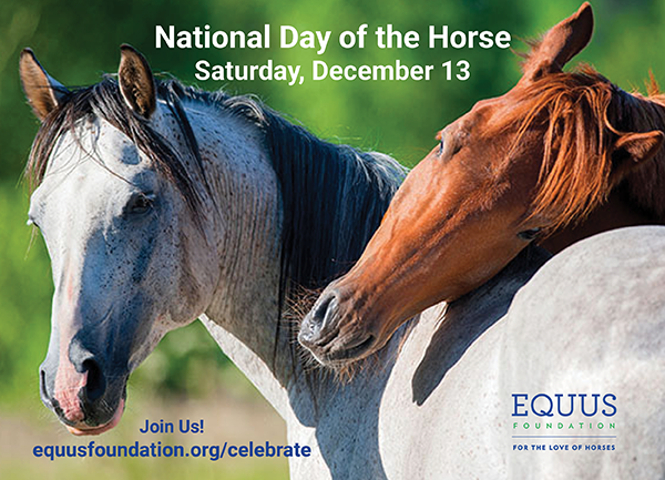 EQUUS Foundation