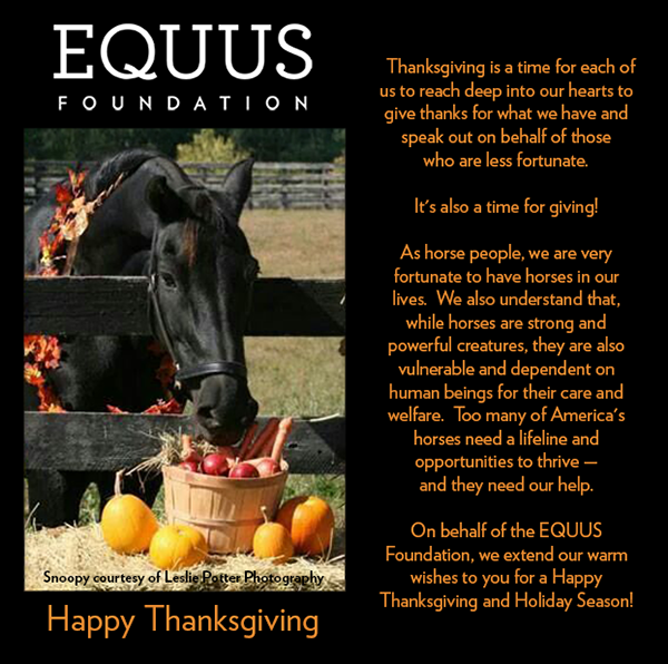 EQUUS Foundation