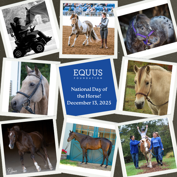 Celebrate the National Day of the Horse Today!