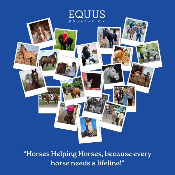 Celebrate the National Day of the Horse Today!