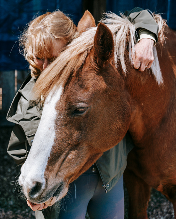 Impact of America's Equine Charities