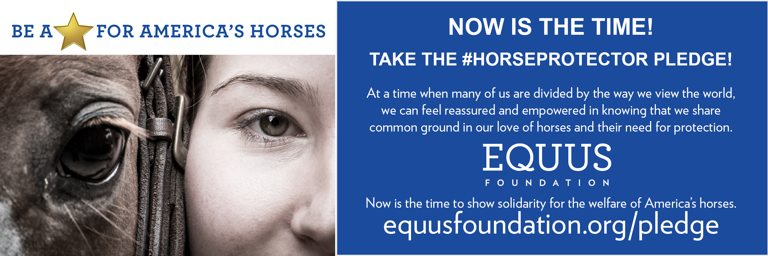 Take the #HorseProtectors Pledge