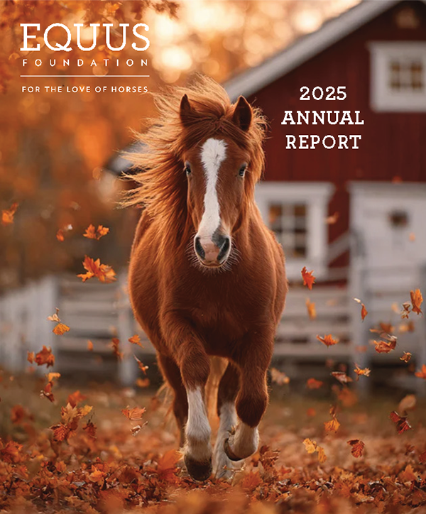 EQUUS Foundation Releases Annual Report Highlighting National Impact on Equine Welfare